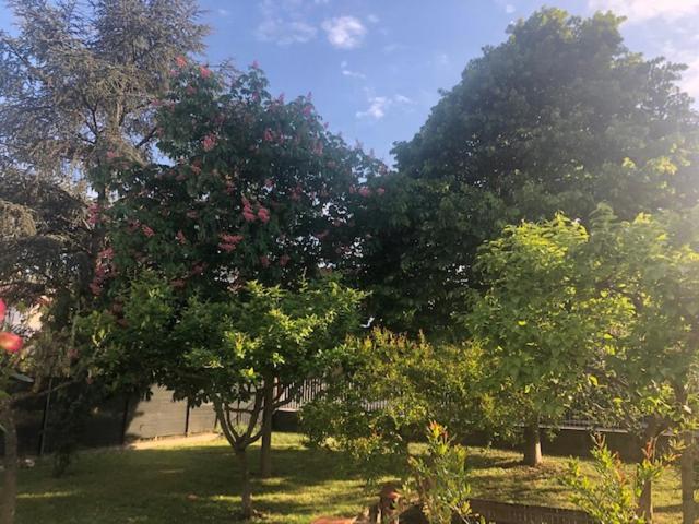 B&B Marilyn Равенна Экстерьер фото